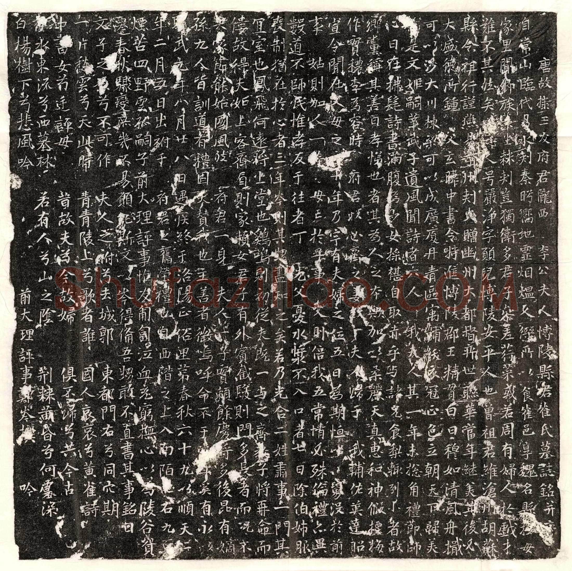 唐李昌庭妻崔严净墓誌(唐故棣王友府君陇西李公夫人博陵县君崔氏墓誌铭并序)