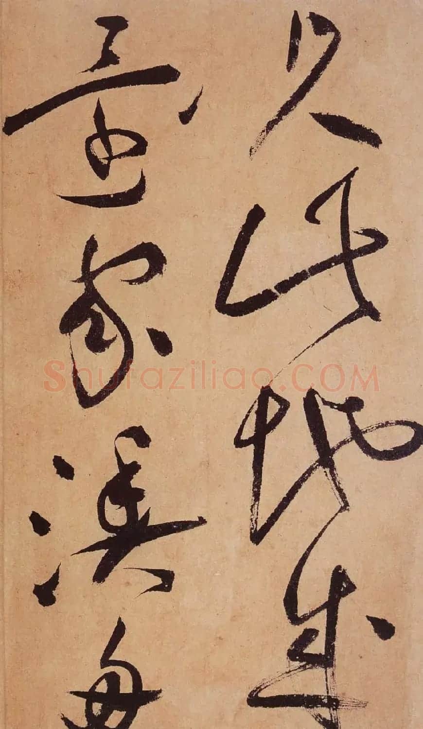 祝允明草书欣赏《桃源图诗册》 | 书法名家作品鉴赏