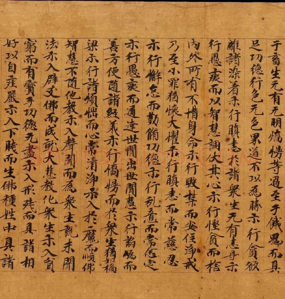 敦煌遗书精选《维摩诘所说经卷中》 | 敦煌写经鉴赏