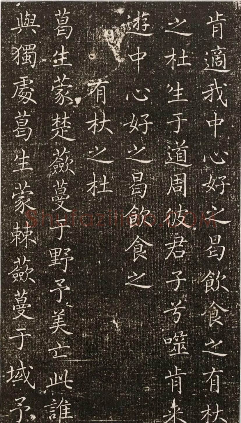 唐朝宰相褚遂良小楷《诗唐风》 | 书法碑帖