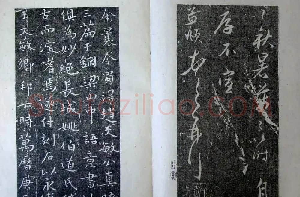 赵孟頫字帖《明拓赵松雪野竹图行书帖》 | 软笔行书字帖