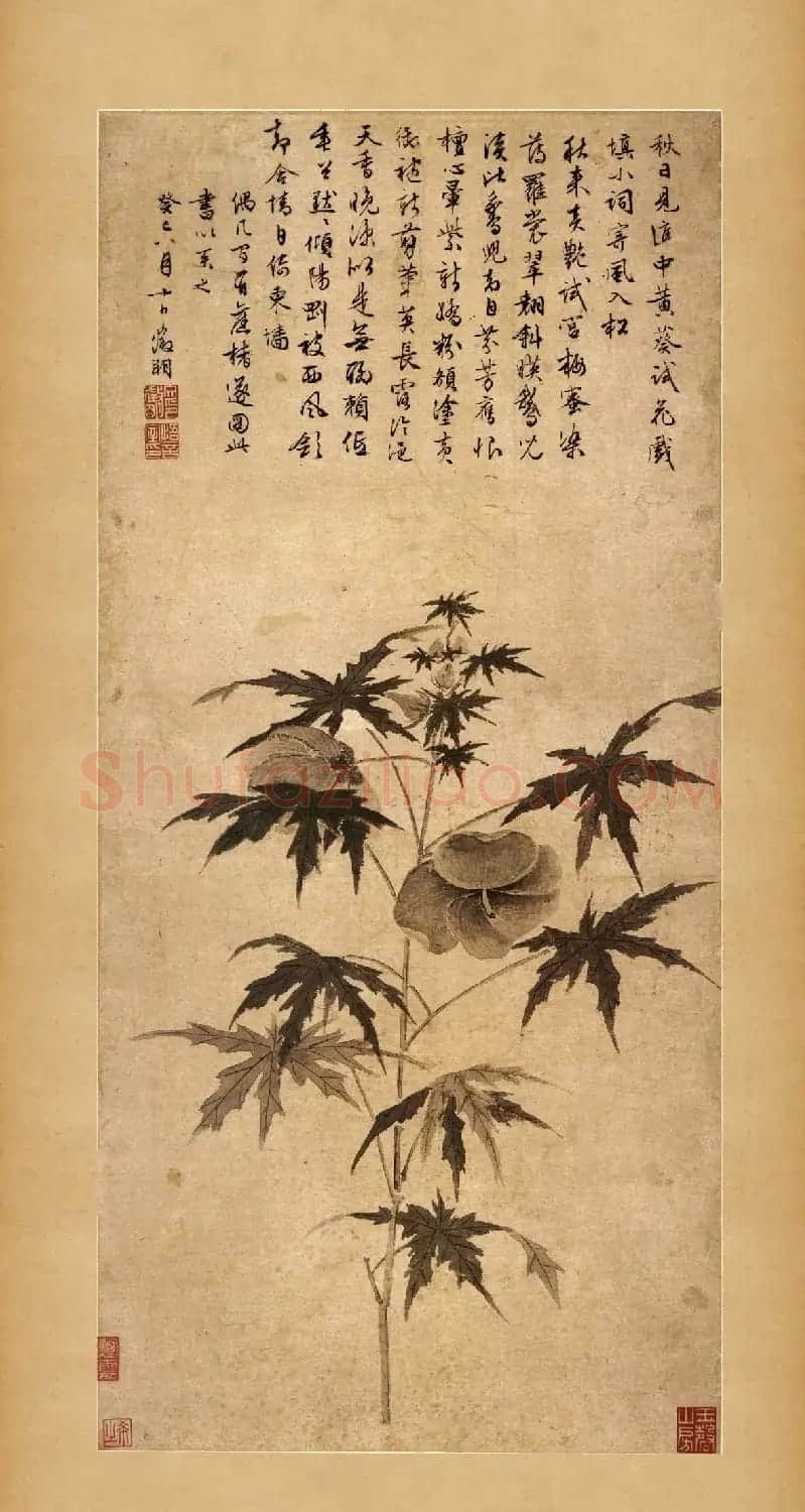 文徵明64岁书画欣赏《秋葵图》 | 传世书法作品欣赏