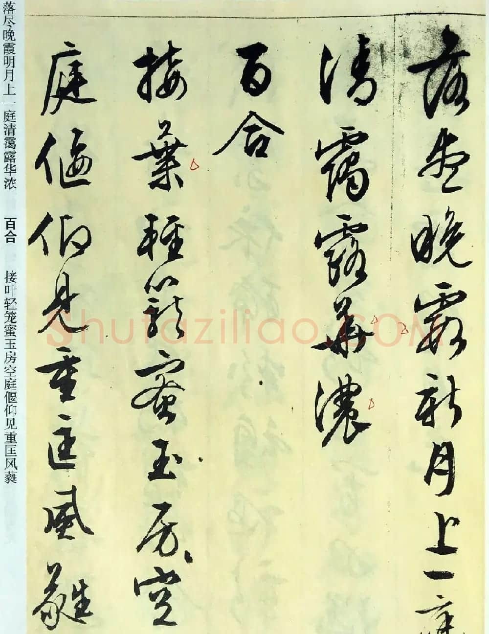 文徵明89岁墨宝《文征明书杂花诗十二首》 | 名家书法作品赏析