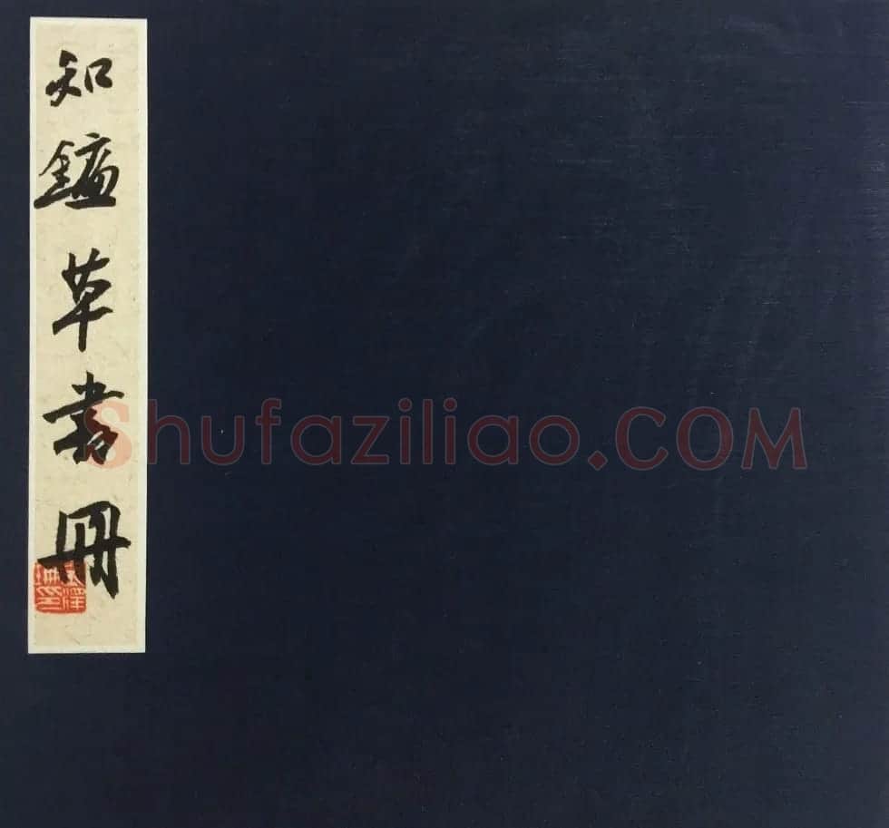 知镰草书册页《金泽珊大草诗册》 | 毛笔书法作品