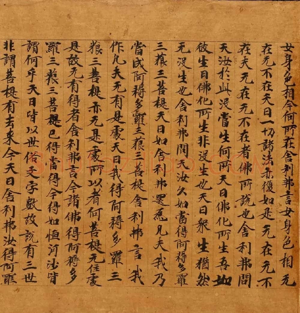 敦煌遗书精选《维摩诘所说经卷中》 | 敦煌写经鉴赏