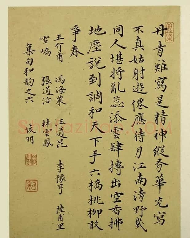 清代金俊明书画欣赏《梅花图册》 | 传世书法作品鉴赏