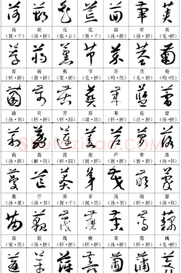 书法教材《名帖名家草书字帖范字》 | 毛笔草书字帖