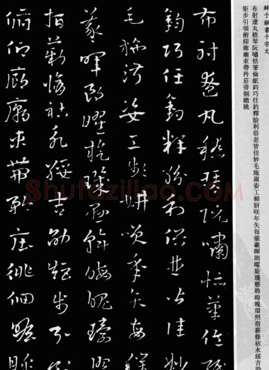 鲜于枢章草书法欣赏《千字文》大图 | 软笔草书字帖