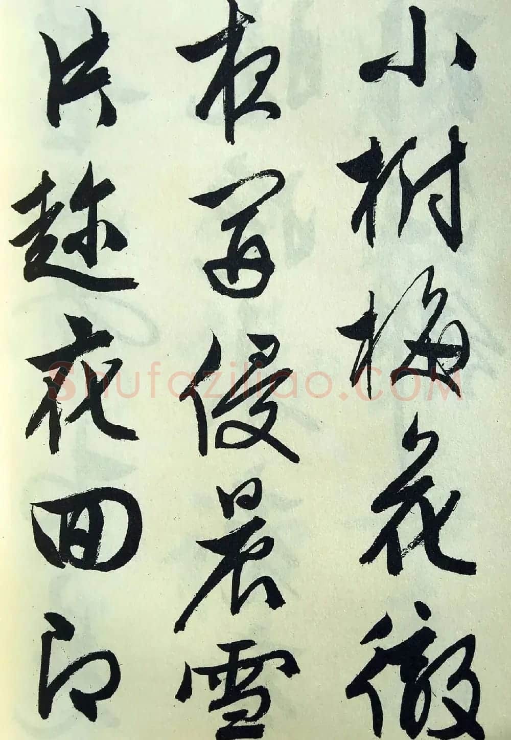文征明83岁大字行书《梅花诗》高清大图 | 软笔行书字帖