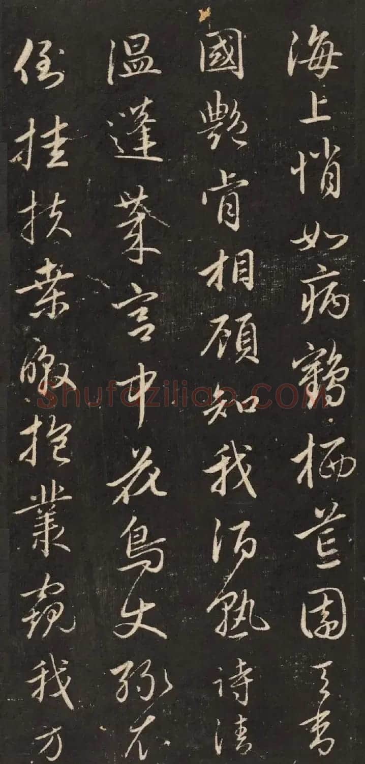 元代赵孟頫行书《梅花诗》 | 名家书法作品精选