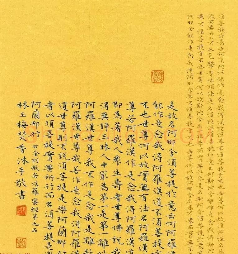 漳州市女书法家林玉梅小楷金刚经 | 书法作品赏析