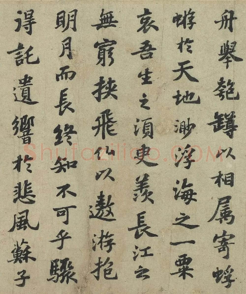 苏轼行楷书法欣赏《前赤壁赋》 | 毛笔书法作品