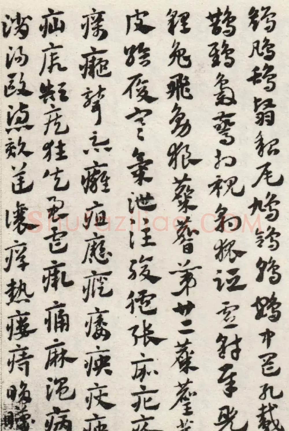 赵孟頫56岁章草《急就章》上海博物馆藏 | 书法名家作品鉴赏