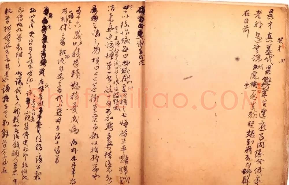 傅山书法墨宝真迹《哭子诗》册 | 书法名家作品欣赏
