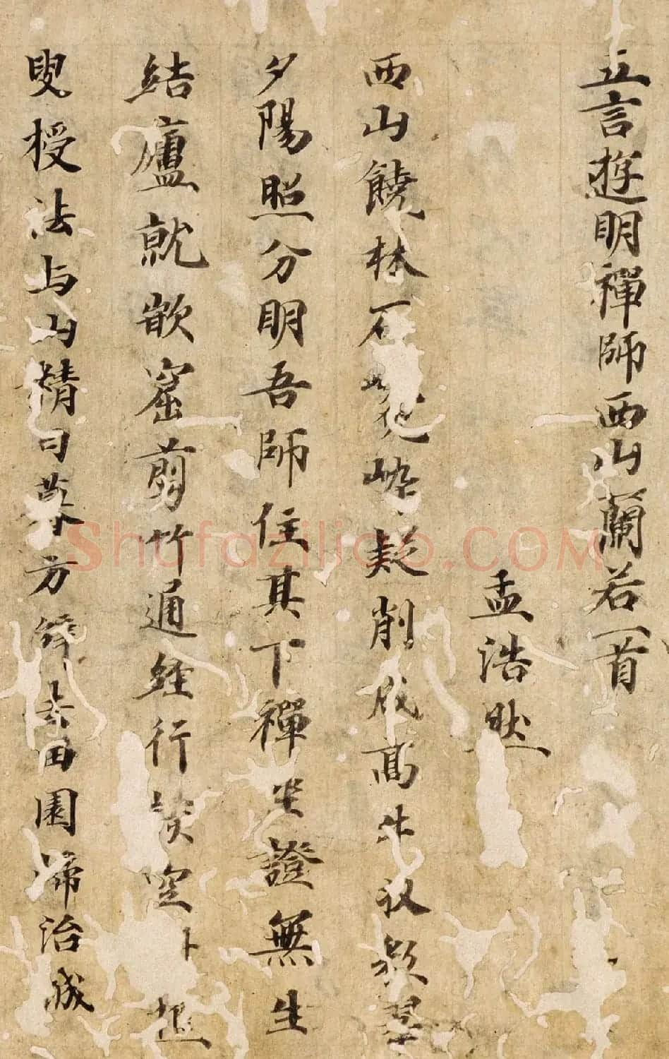 唐楷书残篇《孟浩然五言诗六首》 | 书法作品精选