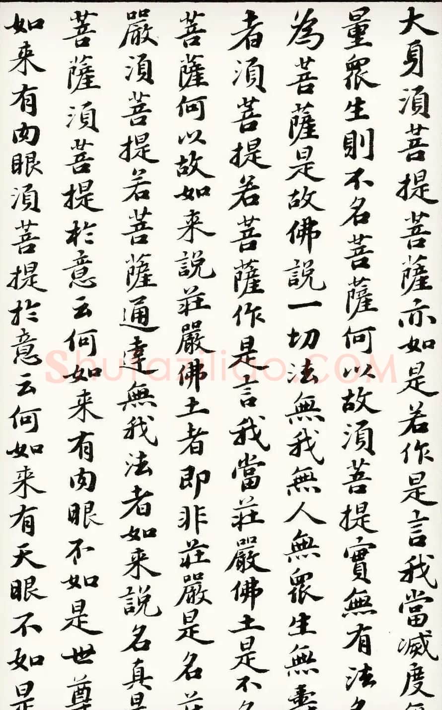 苏轼行楷书法欣赏《金刚经》全本 | 毛笔书法作品