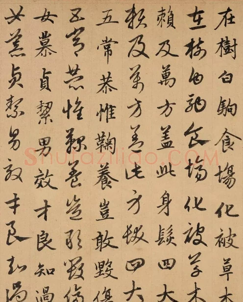 赵孟頫真草千字文卷(保利本) | 书法名家作品欣赏