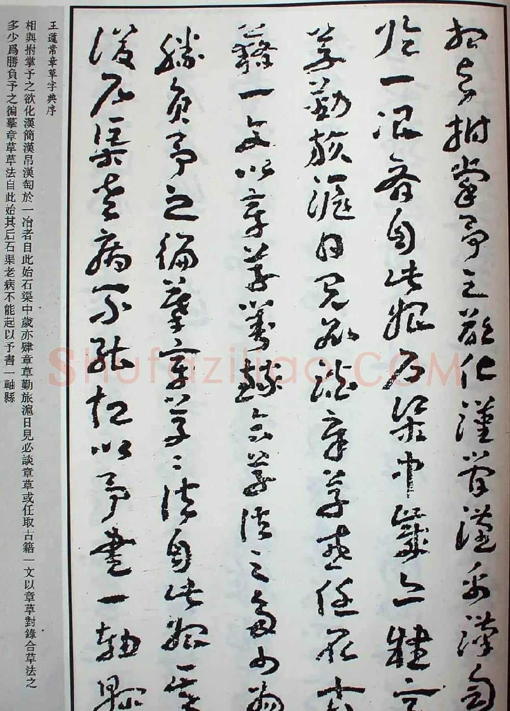 王蘧常草书欣赏《章草字典序》 | 软笔书法作品