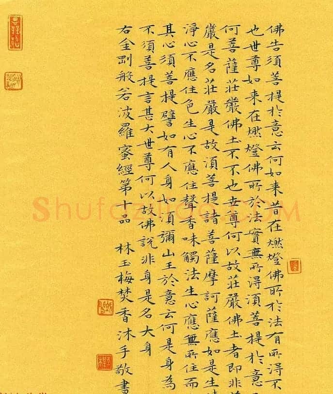 漳州市女书法家林玉梅小楷金刚经 | 书法作品赏析