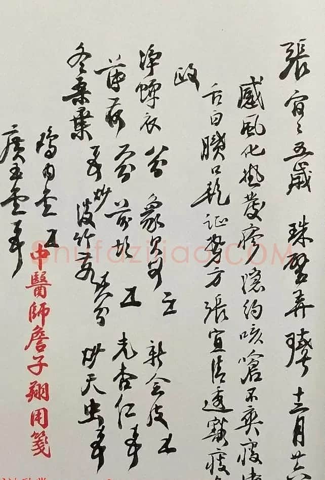 书法家亲手开方子附名医药方手迹 | 名家书法作品赏析