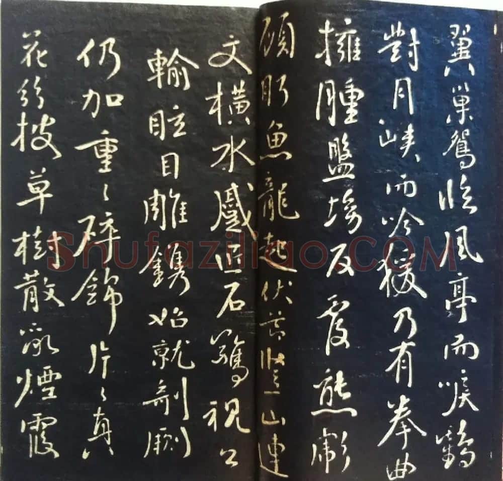 兰新家传书法碑帖分享《钱南园枯树赋》 | 毛笔书法作品