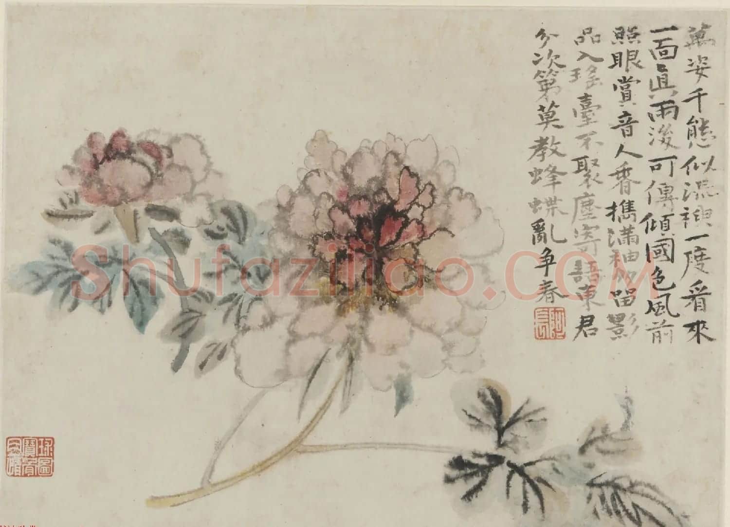 清代画家石涛花卉图册 美国弗利尔美术馆藏 | 传世书法作品鉴赏