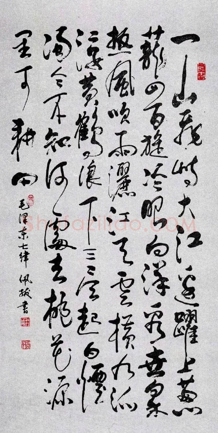 名家书法作品欣赏《毛主席诗词》第二辑 | 名家书法作品赏析