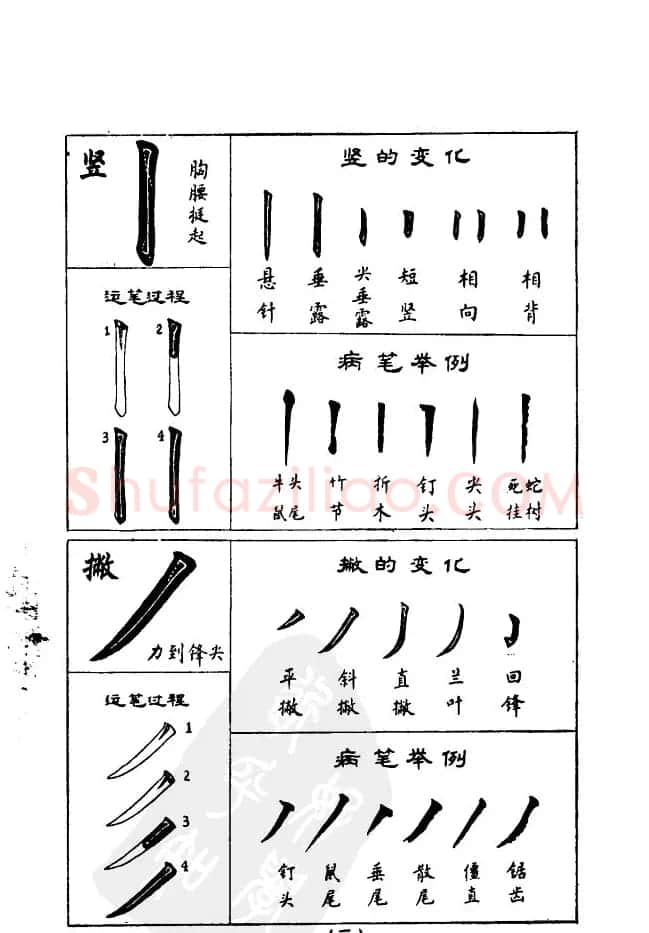 任政《楷书基本点画笔法》 | 毛笔楷书字帖