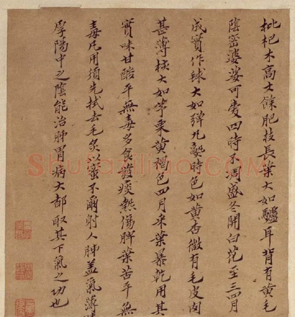 周淑禧、周淑祜两姐妹小楷《本草图》四条屏 | 传世书法作品精选