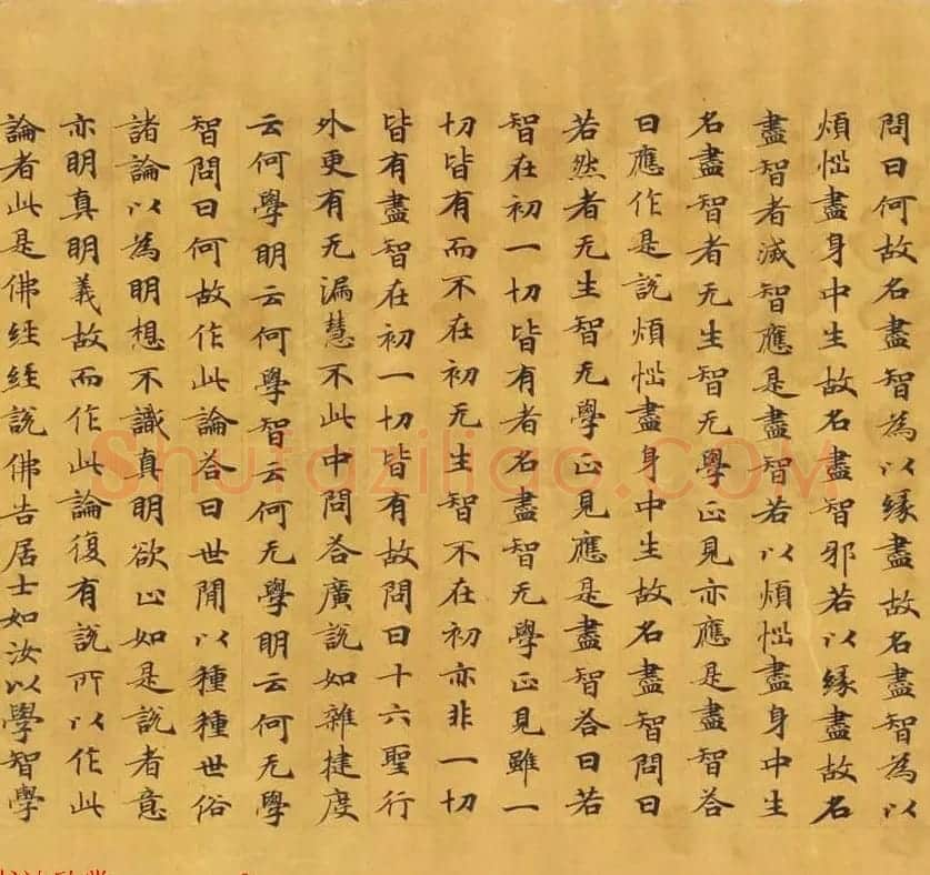 唐代写经赏析《阿毘昙毘婆沙论卷第五十二》法国国家图书馆藏 | 敦煌写经精选