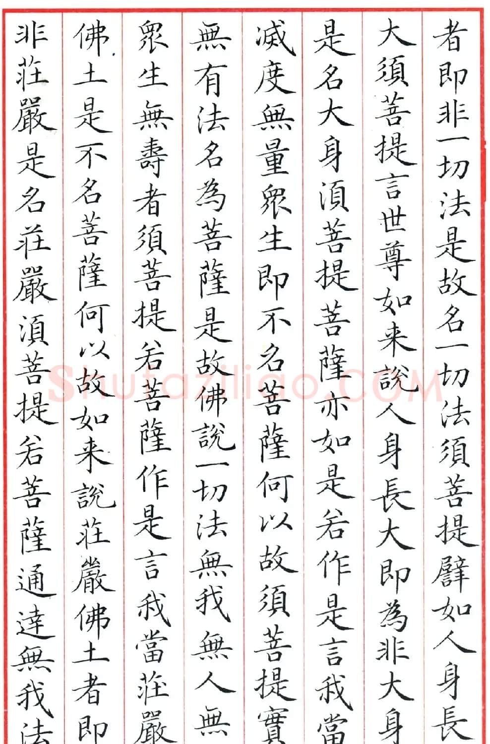 梁林小楷书法《金刚经三十二品》 | 书法作品鉴赏