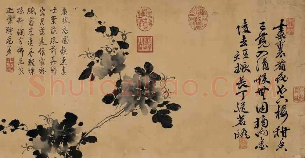 徐渭传世书画《水墨写生》卷 | 传世书法作品欣赏