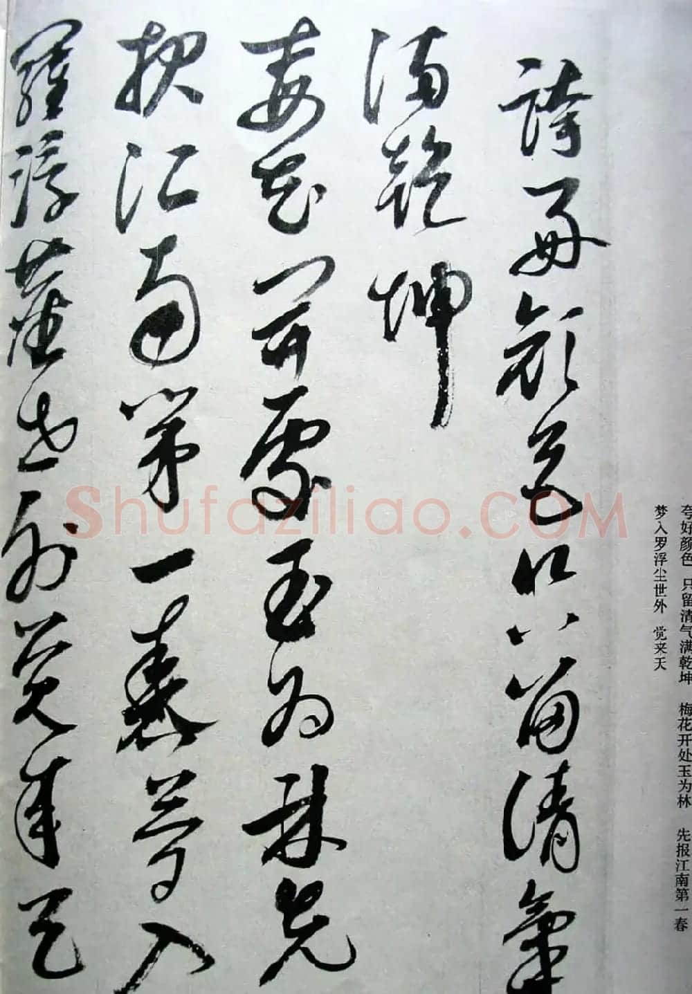 明代女书画家邢慈静草书欣赏 | 名家书法作品赏析