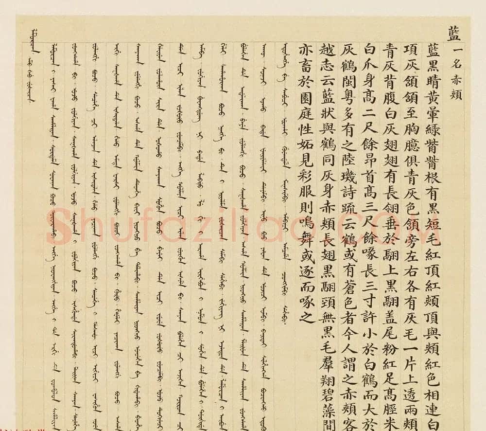 汉文满文字画欣赏《清人鸟谱册》 | 传世书法作品欣赏