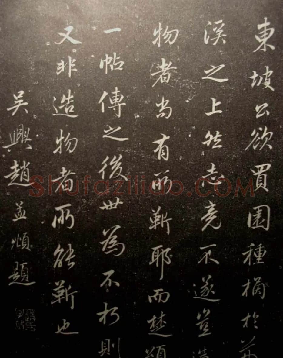 苏轼行书欣赏楚颂帖附跋 | 毛笔书法作品