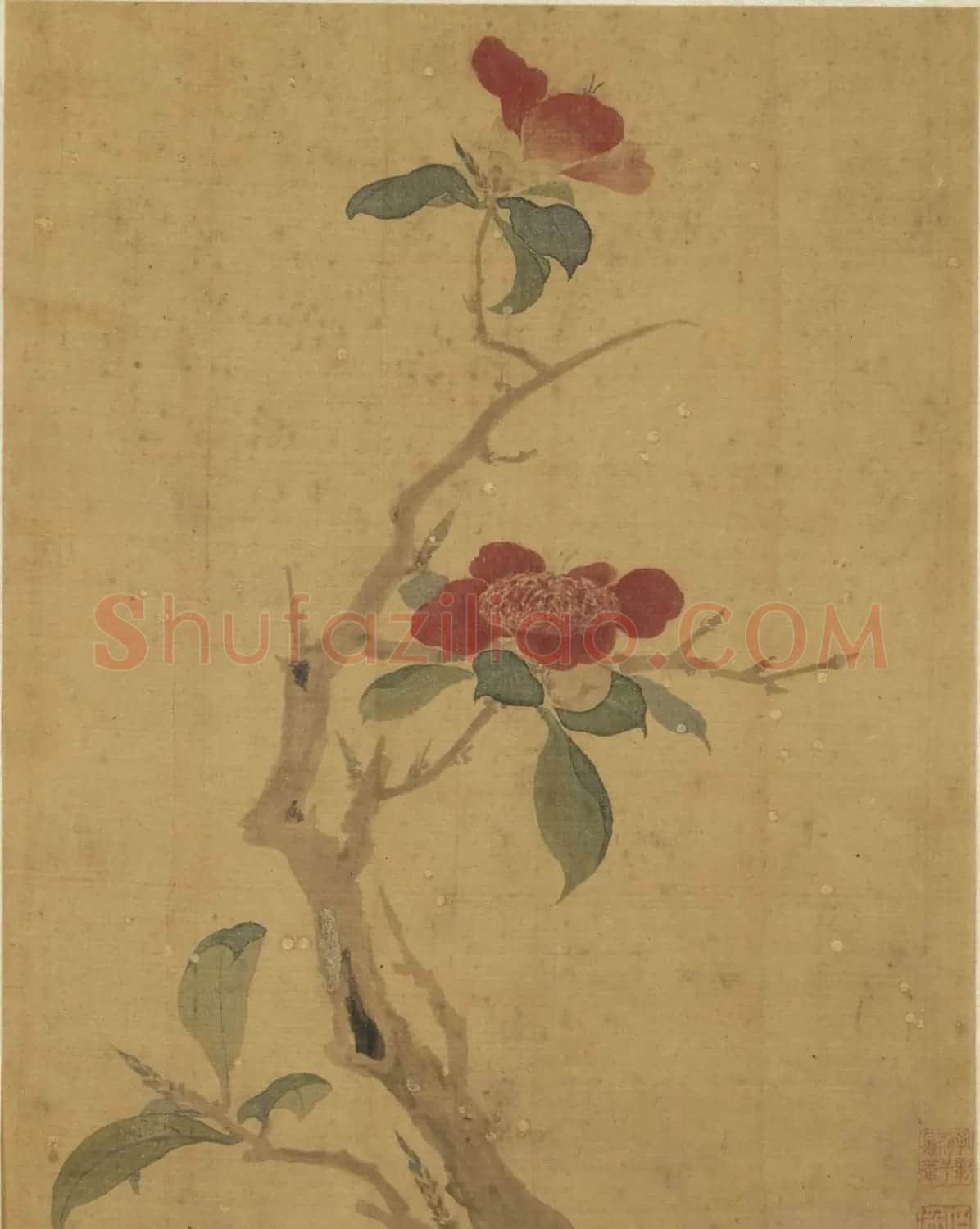 王文治书法题项圣谟花卉册 | 传世书法作品赏析