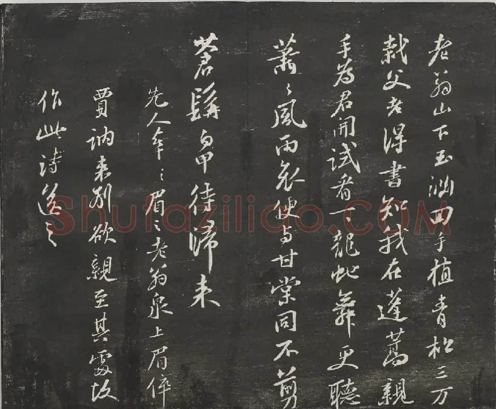 宋代苏轼法帖《观海堂苏帖》册 | 软笔书法作品