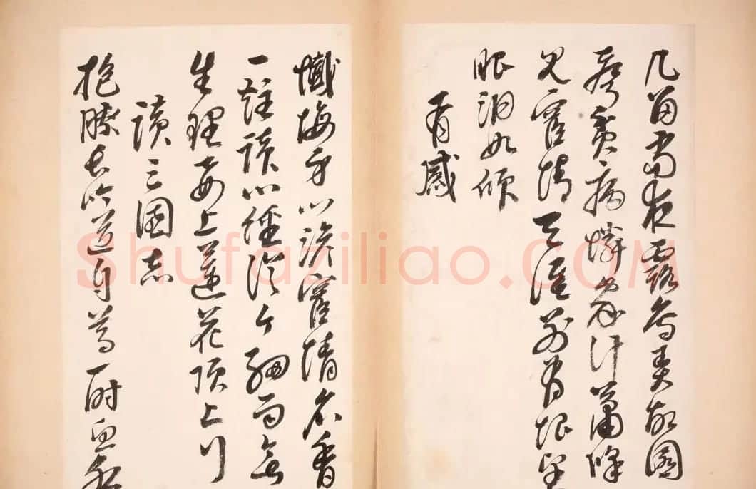明代女书画家邢慈静草书欣赏 | 名家书法作品赏析