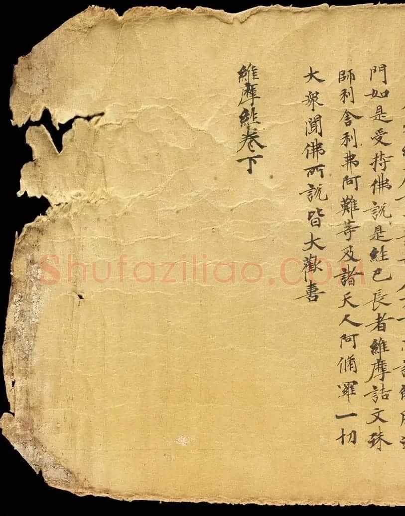 斯坦因敦煌手稿欣赏《维摩诘经卷下》大英图书馆藏 | 敦煌写经鉴赏