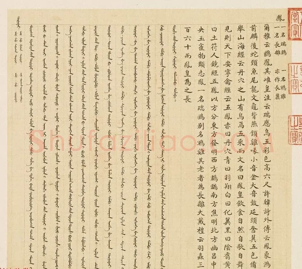 汉文满文字画欣赏《清人鸟谱册》 | 传世书法作品欣赏