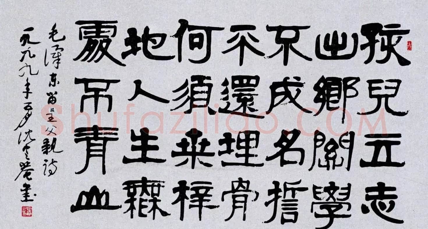 百位书法家书写毛泽东诗词作品横幅 | 书法名家作品鉴赏