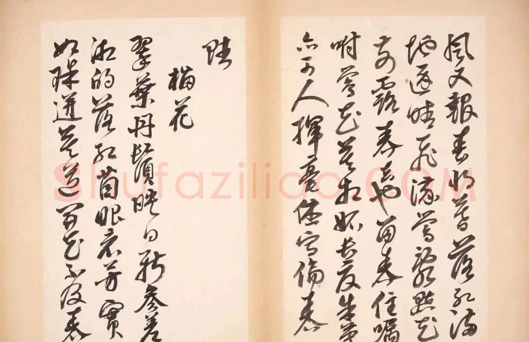 明代女书画家邢慈静草书欣赏 | 名家书法作品赏析