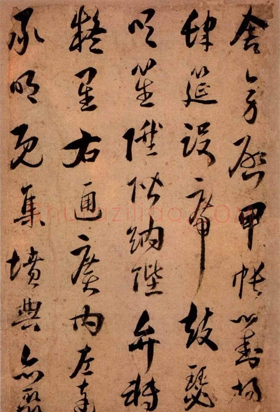 王应华草书欣赏《千字文册》 | 毛笔草书字帖