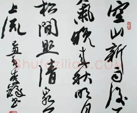 中国书法家协会领导风采 | 软笔书法作品