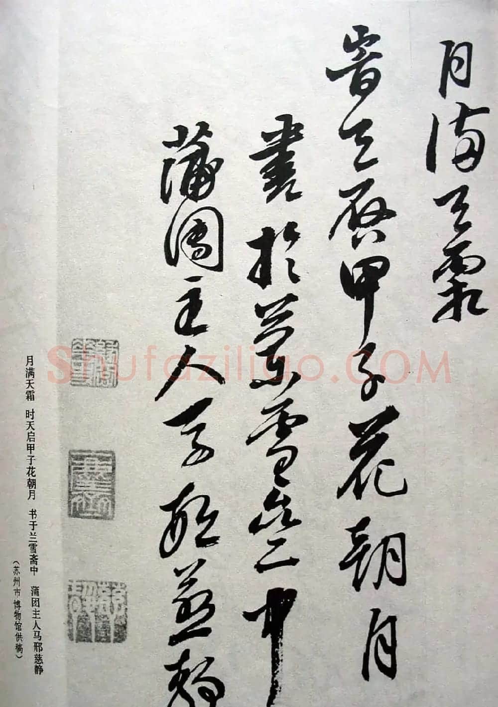 明代女书画家邢慈静草书欣赏 | 名家书法作品赏析