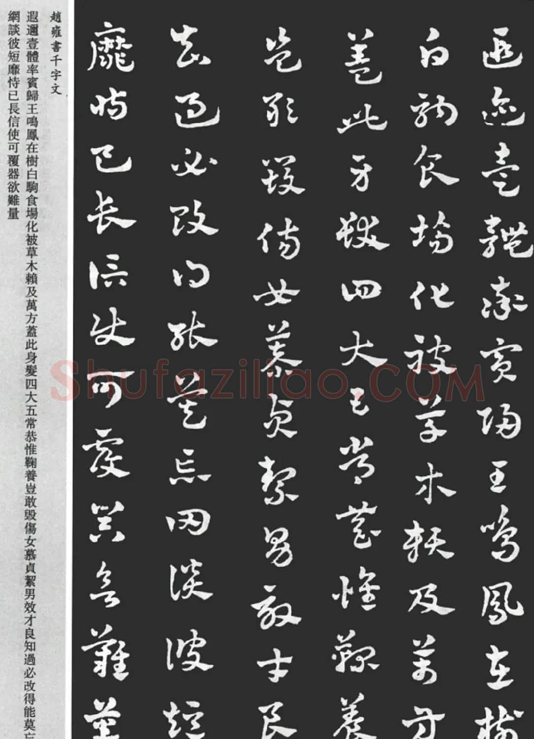 赵雍书法《章草千字文》大图欣赏 | 毛笔草书字帖
