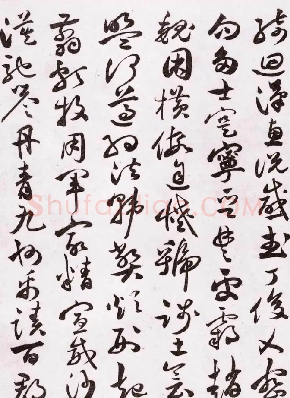 明代草书第一人祝允明《草书千字文卷》两种 | 书法长卷