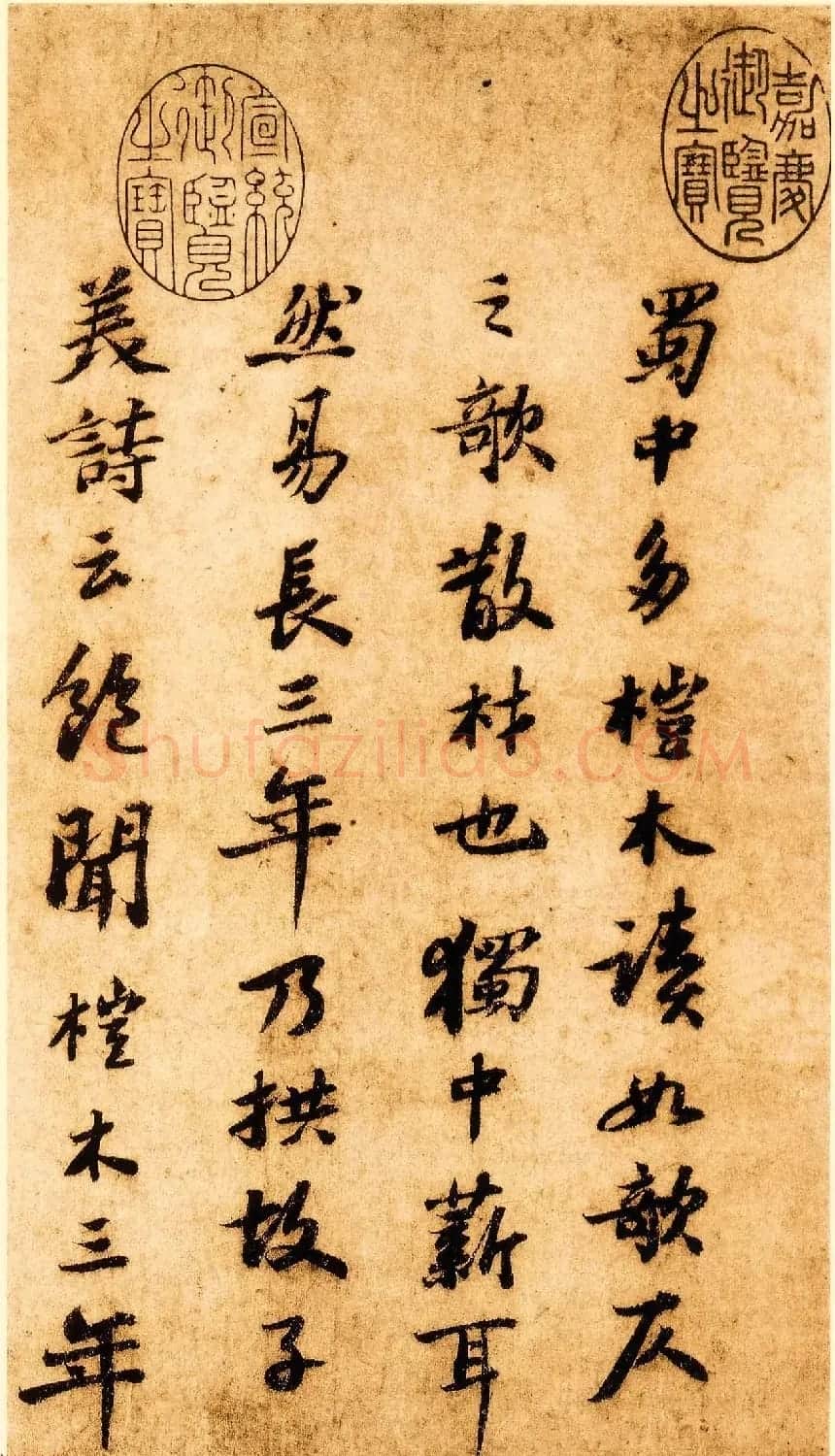 苏轼行书墨迹赏析《杜甫桤木诗卷帖》 | 毛笔书法作品