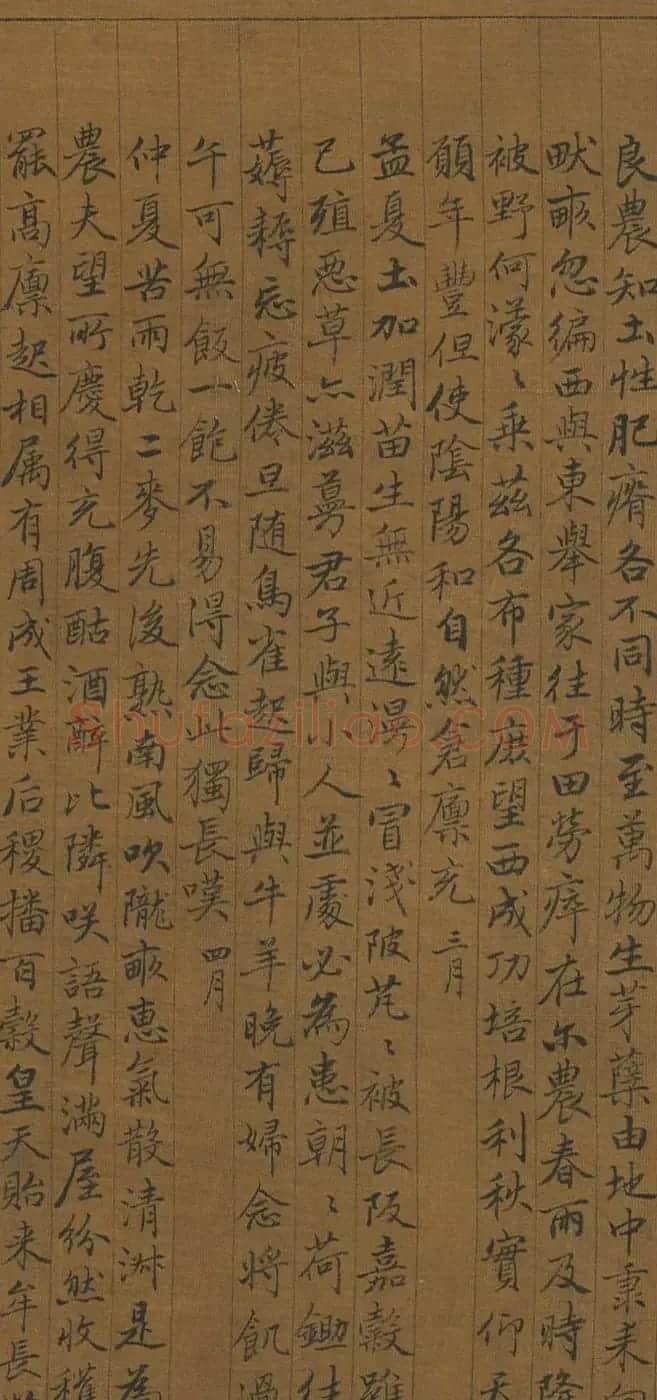 赵孟頫小楷《耕织图诗二十四首》 | 名家书法作品赏析