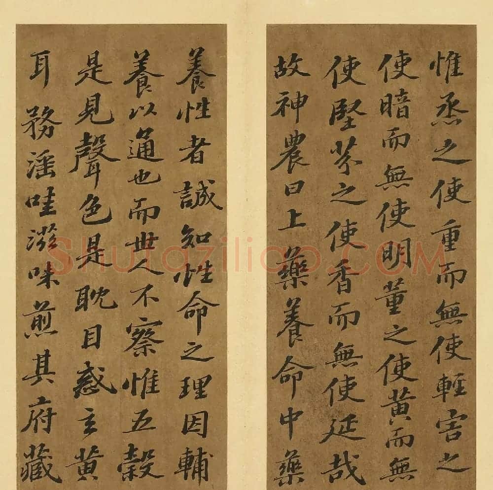 苏轼行书养生论真迹册 | 软笔书法作品